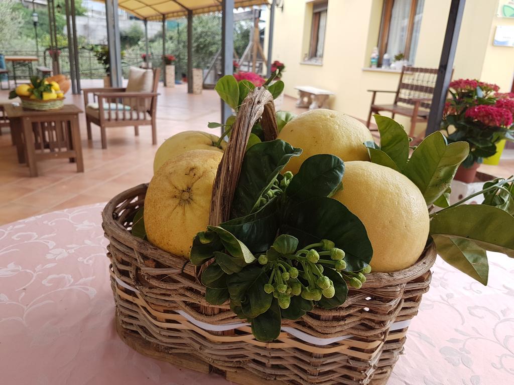 Agriturismo Al Nido Degli Aironi San Remo Zewnętrze zdjęcie