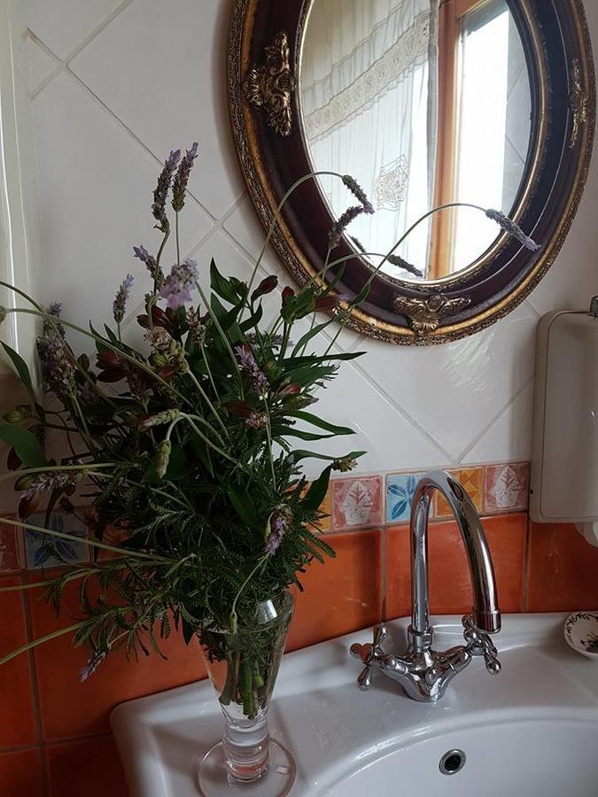 Agriturismo Al Nido Degli Aironi San Remo Zewnętrze zdjęcie